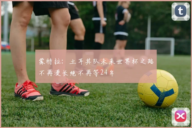 蒙特拉：土耳其队未来世界杯之路不再漫长绝不再等24年