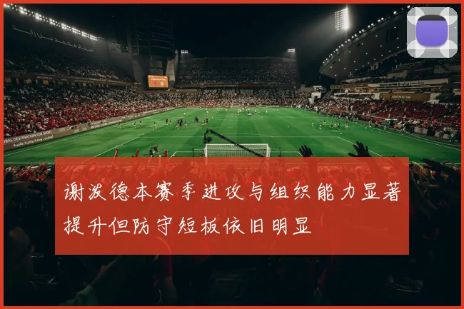 谢泼德本赛季进攻与组织能力显著提升但防守短板依旧明显